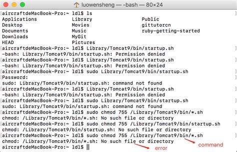 sudo chmod 755
